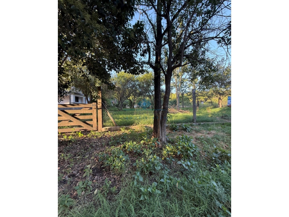 VENTA | LOTE 420 m² | VILLA ANIMI LA GRANJA - 2
