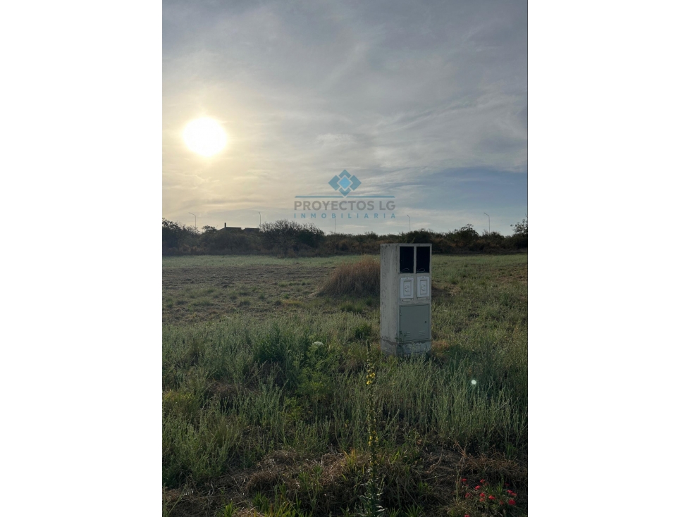 VENTA - LOTES 2000 M2 - COLINAS DE SINSACATE - 6
