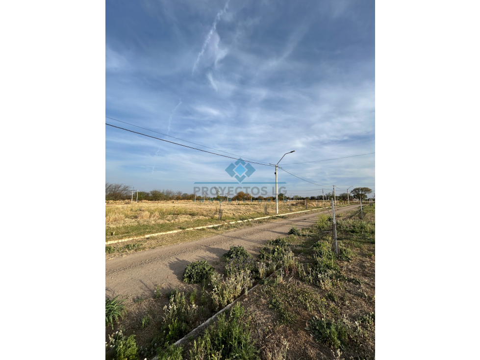 VENTA-LOTE EN LOS ALGARROBOS-SINSACATE - 2
