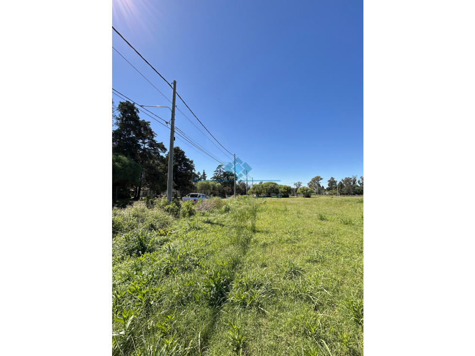VENTA- LOTES EN SINSACATE - 1.000 m² - 2