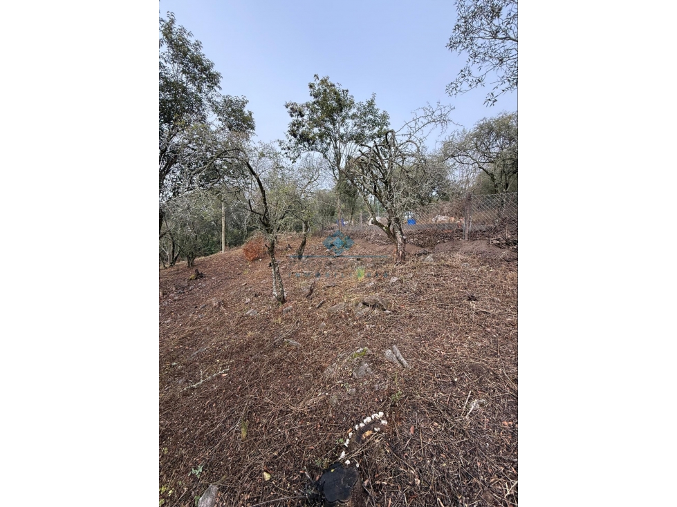 LOTE 560 M2 - VILLA ANIMI - LA GRANJA - 2