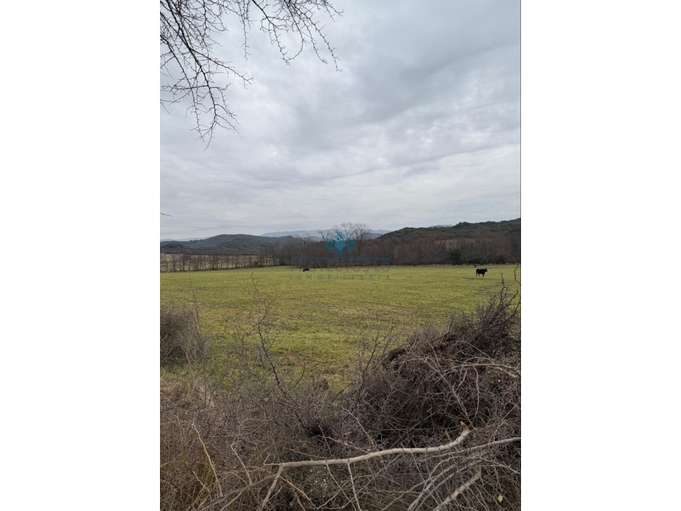VENTA CAMPO GANADERO TODOS LOS SANTOS (Colonia Hogar) - 3