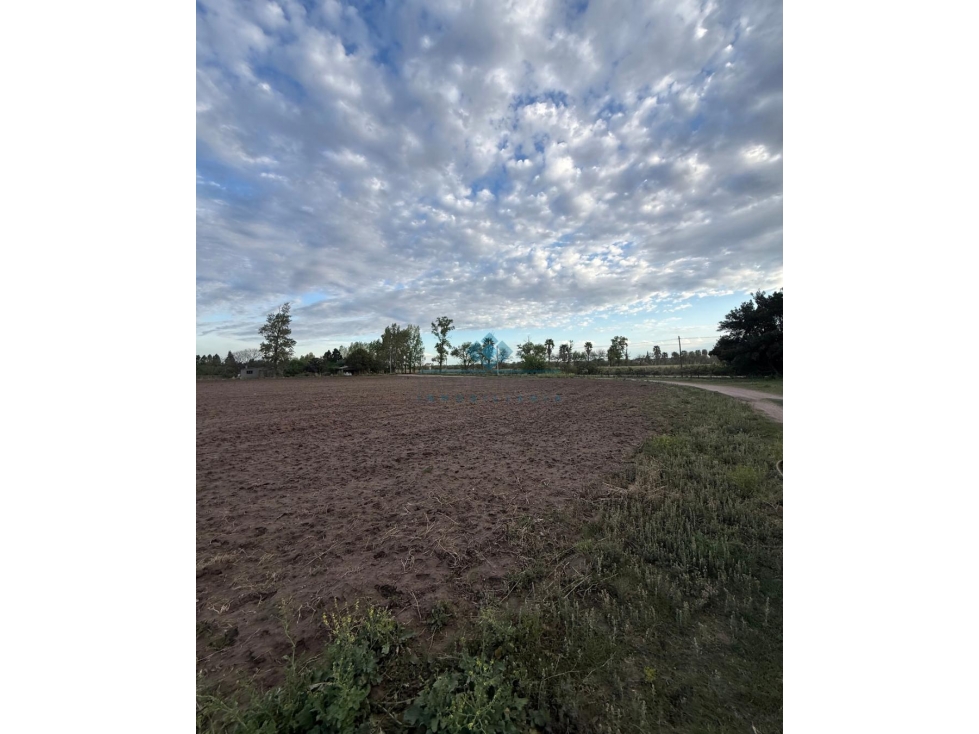 VENTA CAMPO / LOTE DE 5.83 HECTÁREAS COLONIA CAROYA - 6