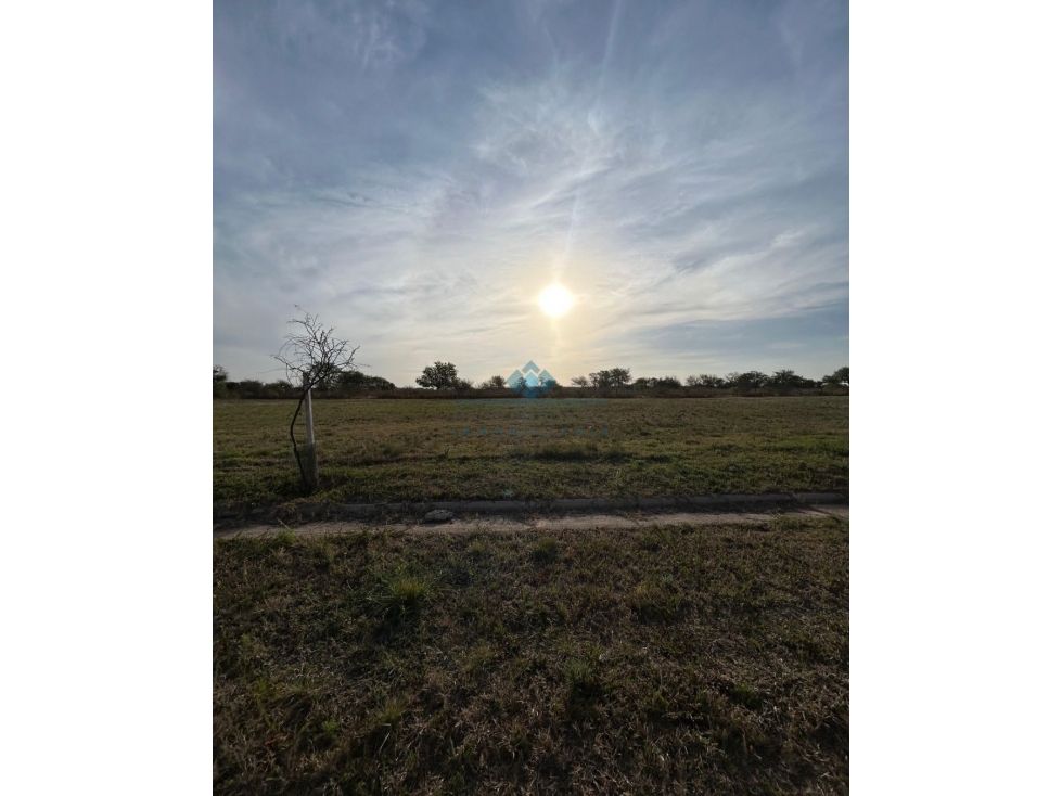 OPORTUNIDAD LOTE 2000 M2 | SINSACATE - 3