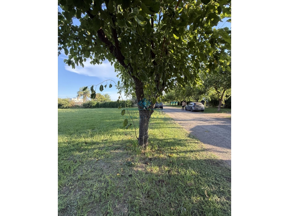 VENTA | LOTE EN JARDINES DEL LAGO- SINSACATE - 2