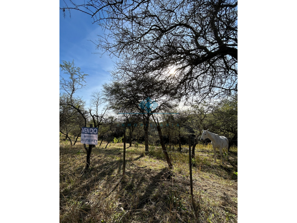VENTA-2 TERRENOS EN COLINAS DE LA GRANJA-LA GRANJA - 2