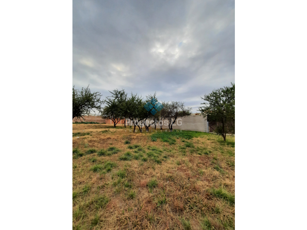 VENTA-LOTES 455m2-SINSACATE-CON ESCRITURA - 2