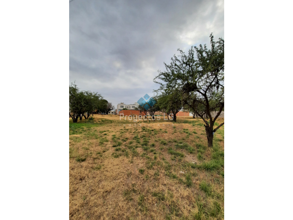 VENTA-LOTES 455m2-SINSACATE-CON ESCRITURA - 4