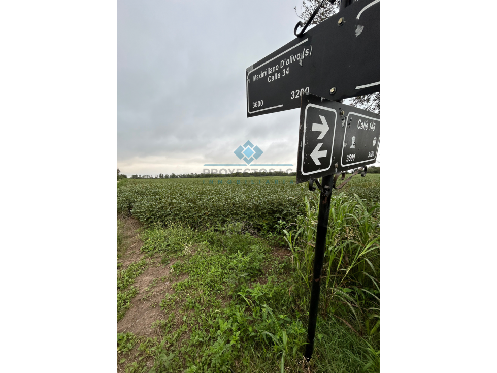 VENTA - CAMPO - 12 HECTAREAS - COLONIA CAROYA - 3