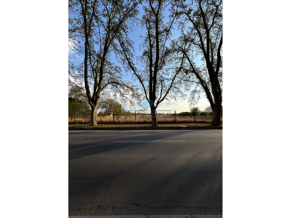 TERRENOS EN VENTA SOBRE AV. SAN MARTIN - COLONIA CAROYA - 3