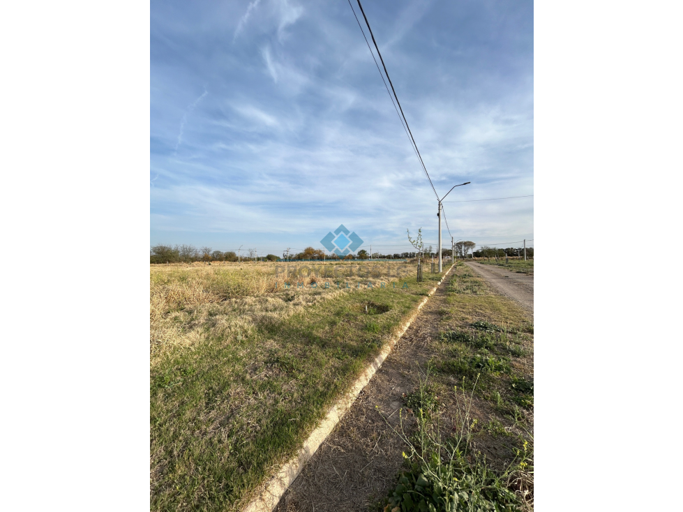 VENTA-LOTE EN LOS ALGARROBOS-SINSACATE - 3