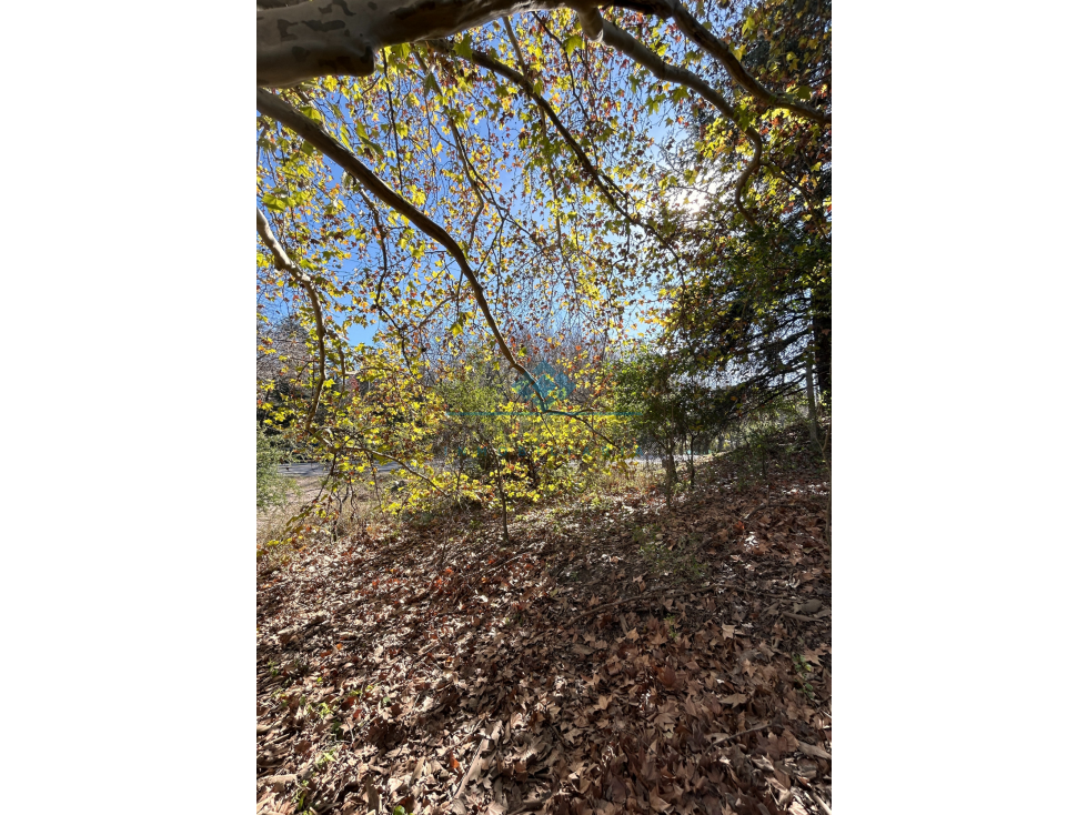 VENTA-LOTE SOBRE RUTA-LAS VERTIENTES DE LA GRANJA - 3
