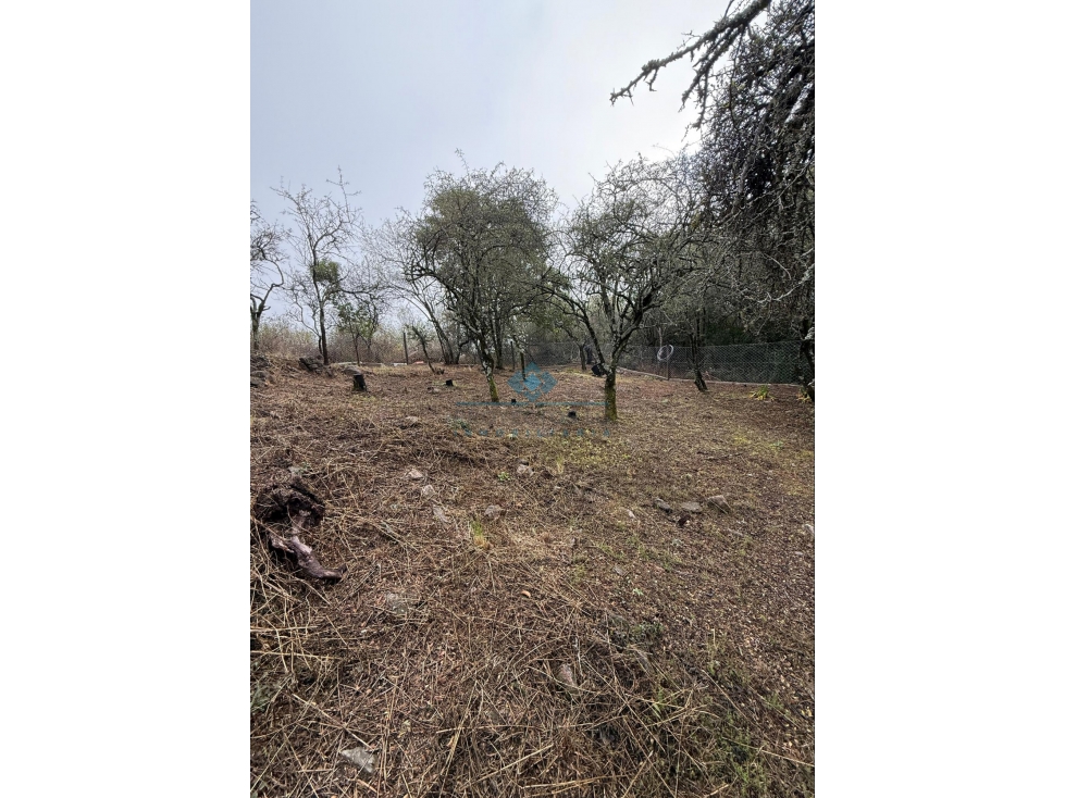 LOTE 560 M2 - VILLA ANIMI - LA GRANJA - 3