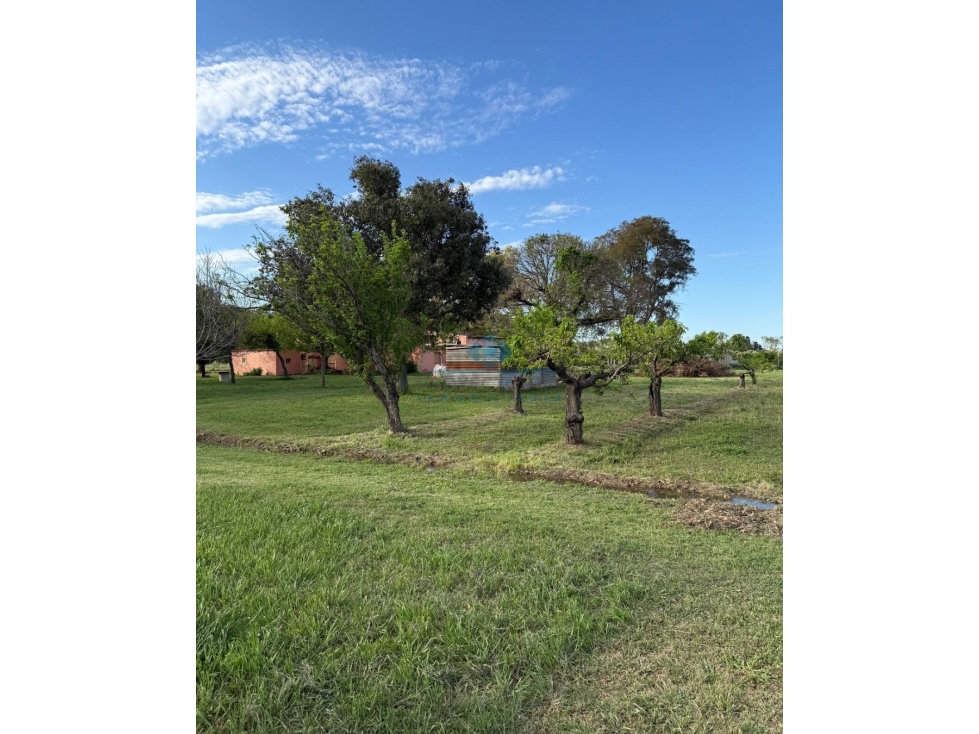 VENTA 2 CASAS QUINTA- 12,67 HECTÁREAS COLONIA CAROYA - 3