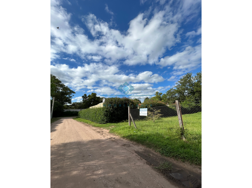 VENTA-OPORTUNIDAD ÚNICA EN SINSACATE - LOTE PREMIUM - 3