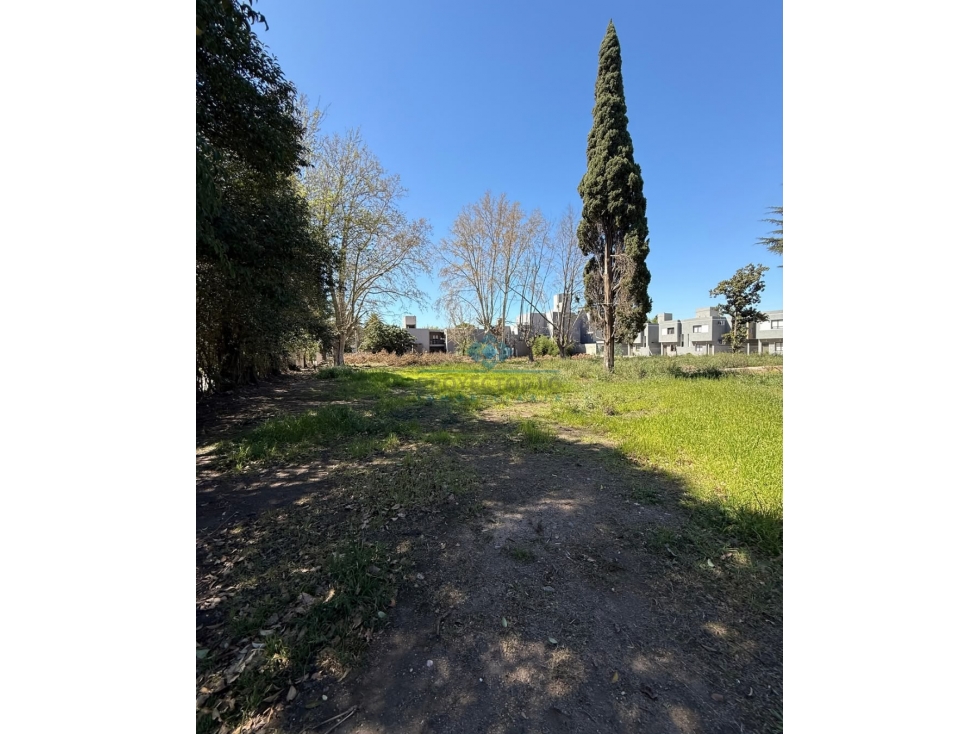 VENTA LOTES - BARRIO LOS NOGALES, JESÚS MARIA - 3