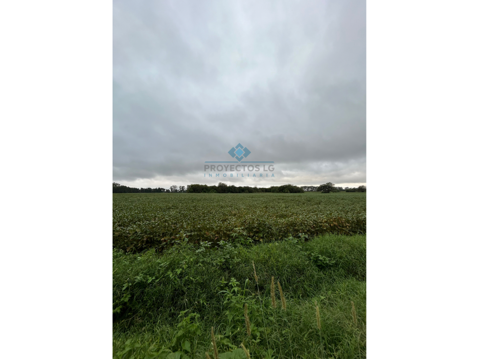 VENTA - CAMPO - 12 HECTAREAS - COLONIA CAROYA - 4