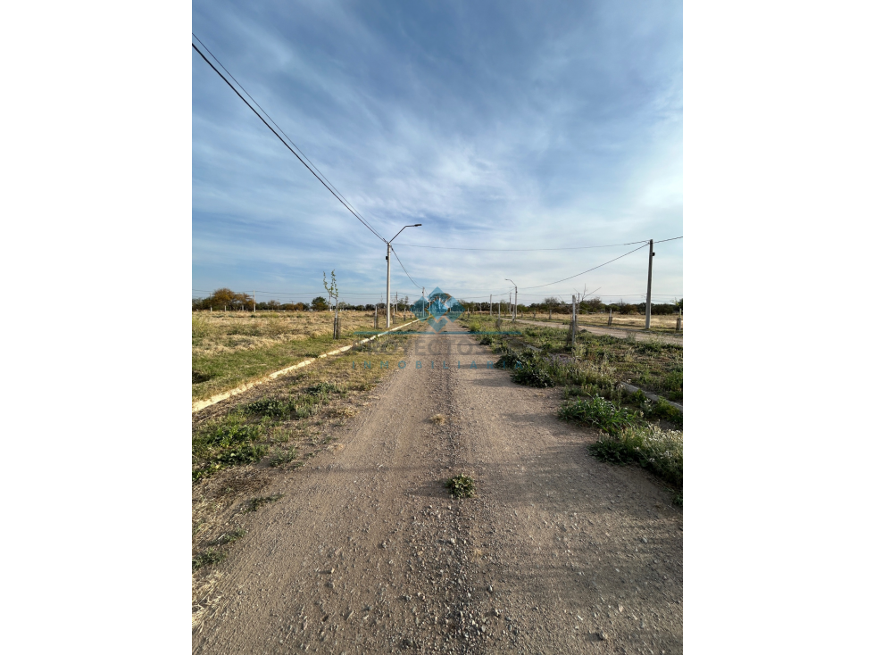 VENTA-LOTE EN LOS ALGARROBOS-SINSACATE - 4