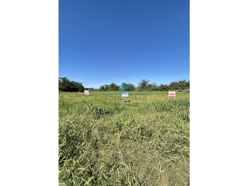 VENTA- LOTES EN SINSACATE - 1.000 m² - 4