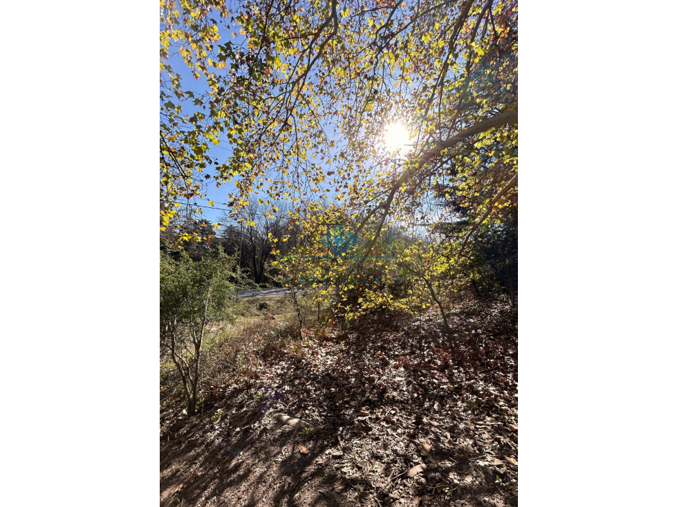 VENTA-LOTE SOBRE RUTA-LAS VERTIENTES DE LA GRANJA - 4