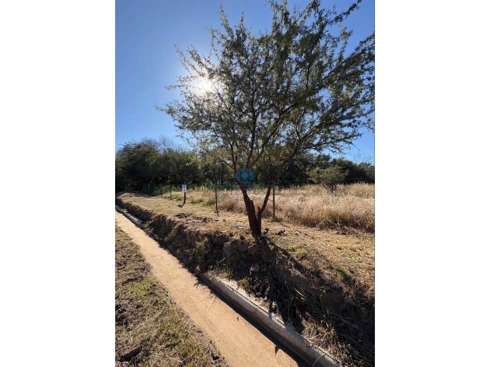 VENTA-LOTE 1675M2-SINSACATE - 4