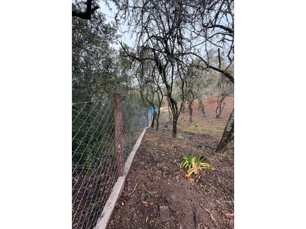 LOTE 560 M2 - VILLA ANIMI - LA GRANJA - 4