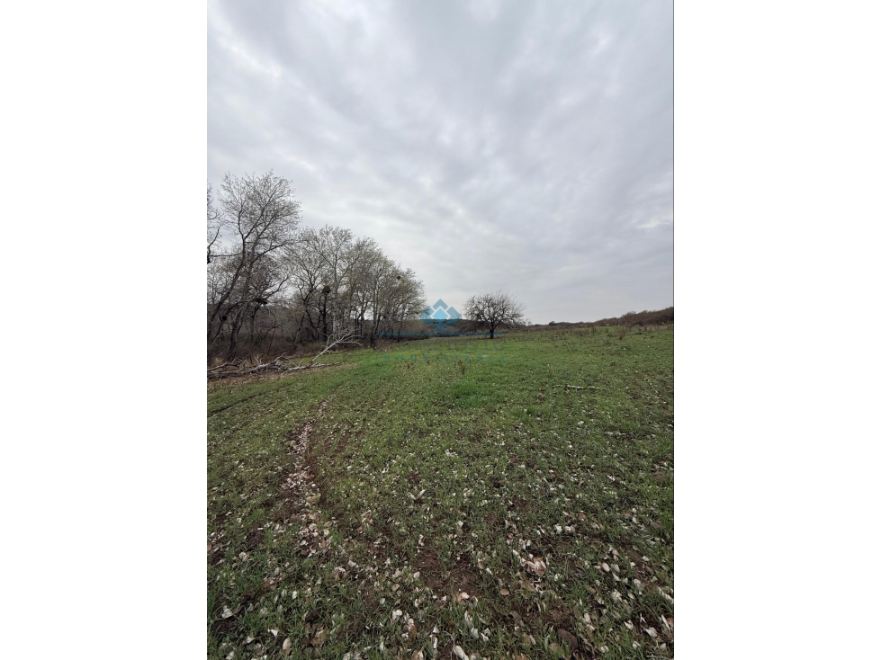 VENTA CAMPO GANADERO TODOS LOS SANTOS (Colonia Hogar) - 5