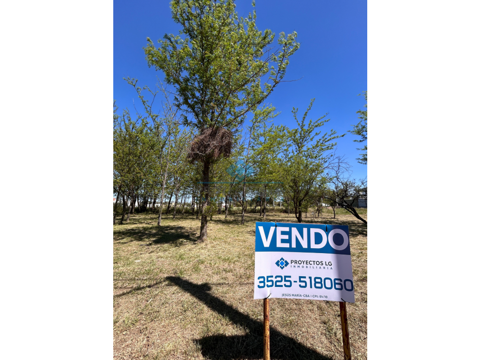 VENTA DE LOTES BARRIO LOS ALGARROBOS, SINSACATE - 4
