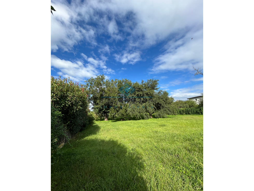 VENTA-OPORTUNIDAD ÚNICA EN SINSACATE - LOTE PREMIUM - 4