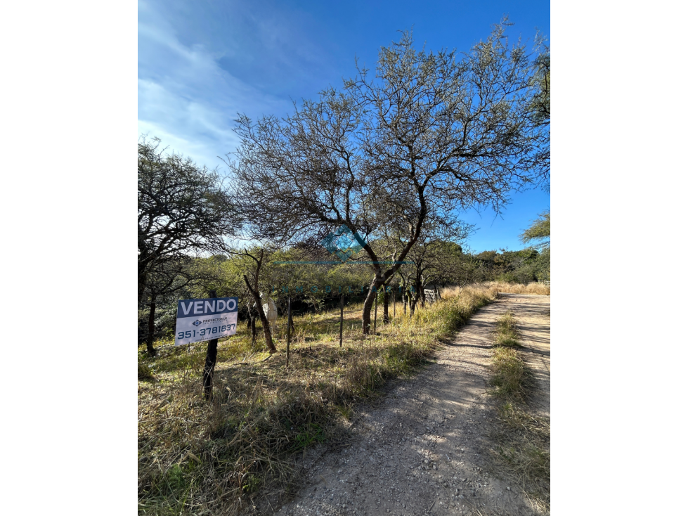 VENTA-2 TERRENOS EN COLINAS DE LA GRANJA-LA GRANJA - 4