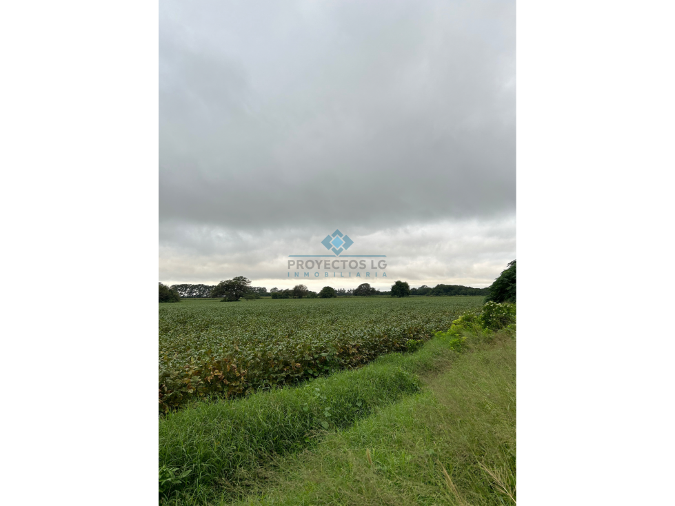 VENTA - CAMPO - 12 HECTAREAS - COLONIA CAROYA - 5