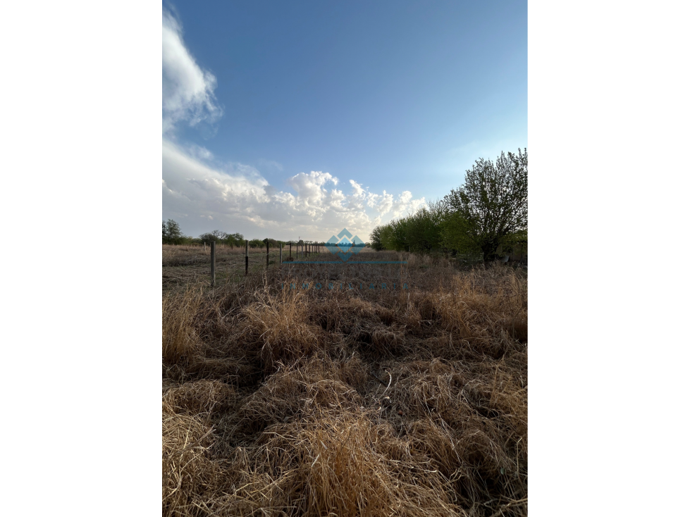 TERRENOS EN VENTA SOBRE AV. SAN MARTIN - COLONIA CAROYA - 5