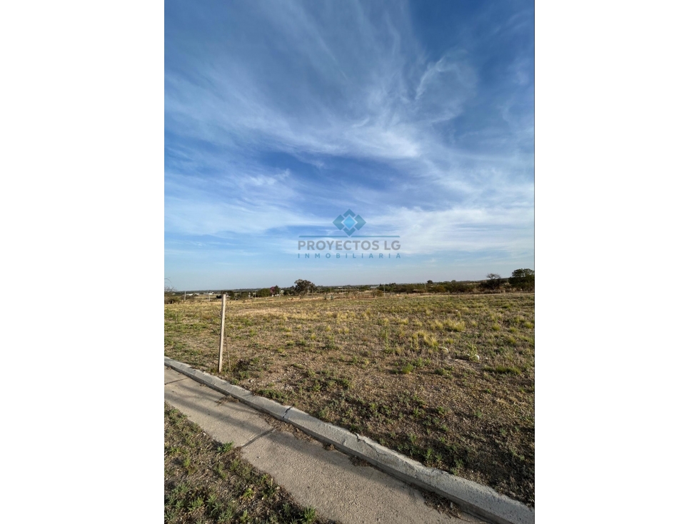 VENTA - LOTES 2000 M2 - COLINAS DE SINSACATE - 3