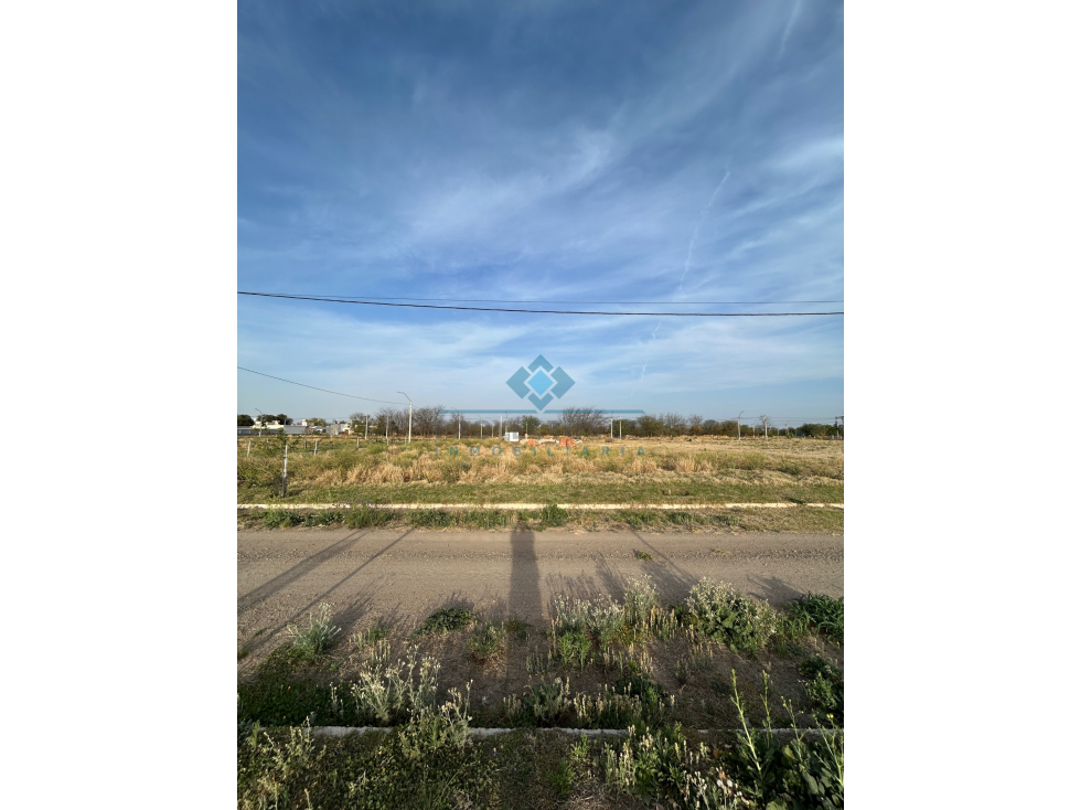 VENTA-LOTE EN LOS ALGARROBOS-SINSACATE - 5