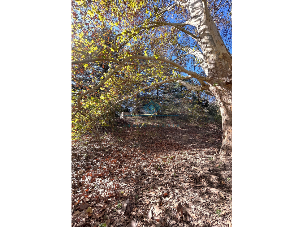 VENTA-LOTE SOBRE RUTA-LAS VERTIENTES DE LA GRANJA - 5