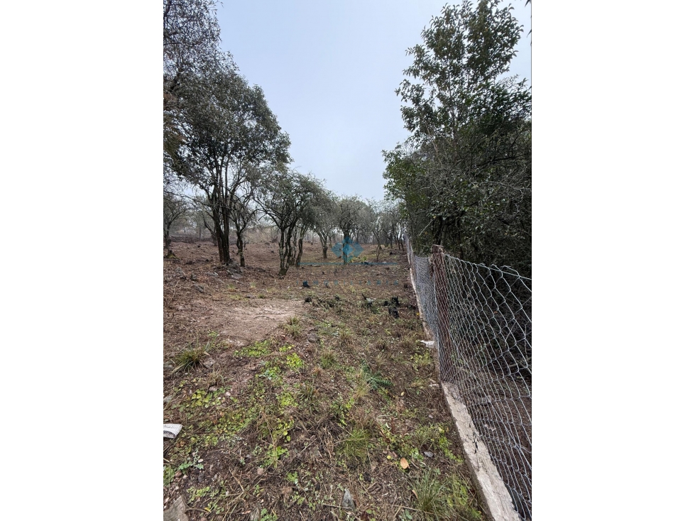 LOTE 560 M2 - VILLA ANIMI - LA GRANJA - 5