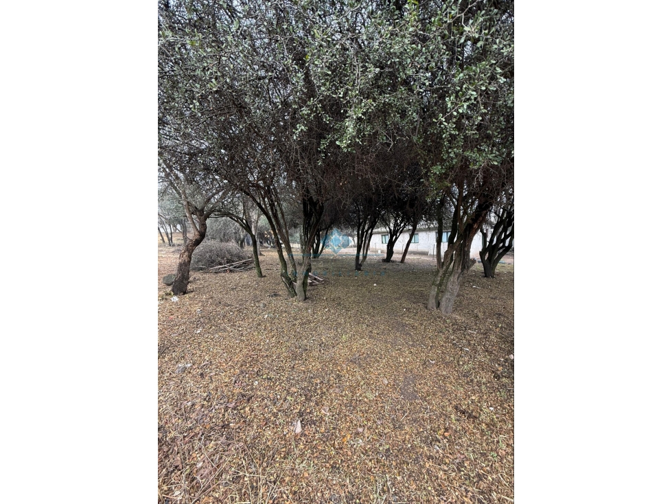 VENTA-LOTE ESQUINA EN VILLA ANIMI-LA GRANJA - 6