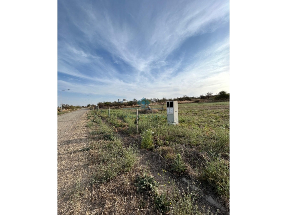 OPORTUNIDAD LOTE 2000 M2 | SINSACATE - 5