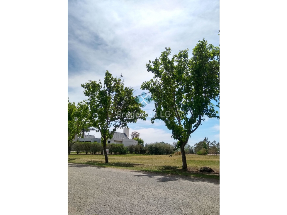 VENTA | LOTE DE 1.485 m JARDINES DEL LAGO, SINSACATE - 5