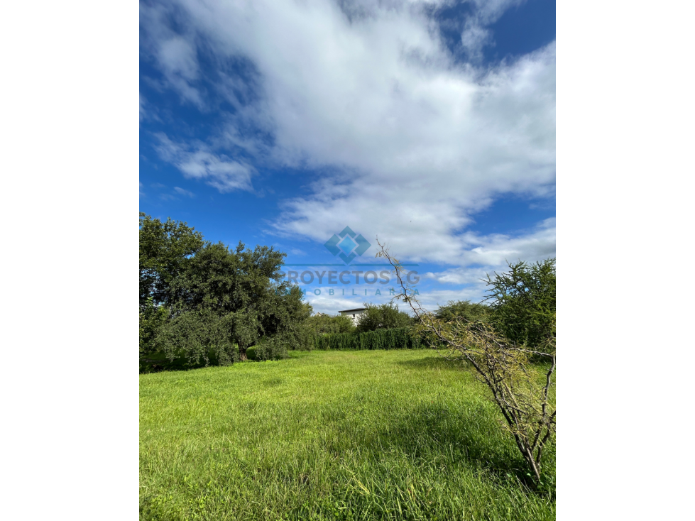 VENTA-OPORTUNIDAD ÚNICA EN SINSACATE - LOTE PREMIUM - 5