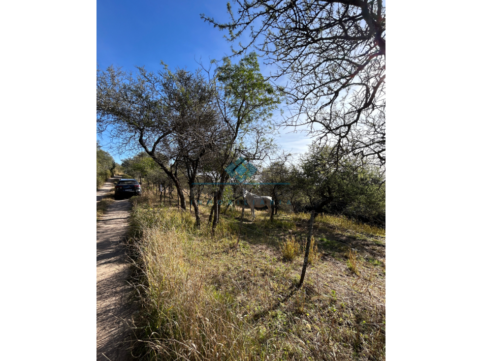 VENTA-2 TERRENOS EN COLINAS DE LA GRANJA-LA GRANJA - 5
