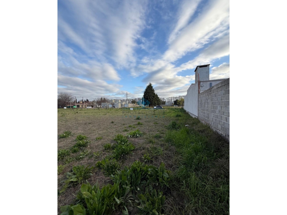 VENTA-LOTE 897M2- COLONIA CAROYA - 5
