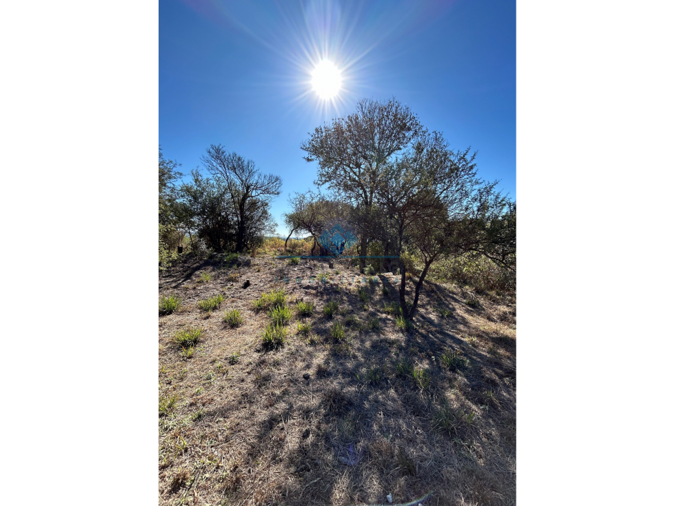 VENTA-LOTE 280M2-VILLA ANIMI-LA GRANJA - 3