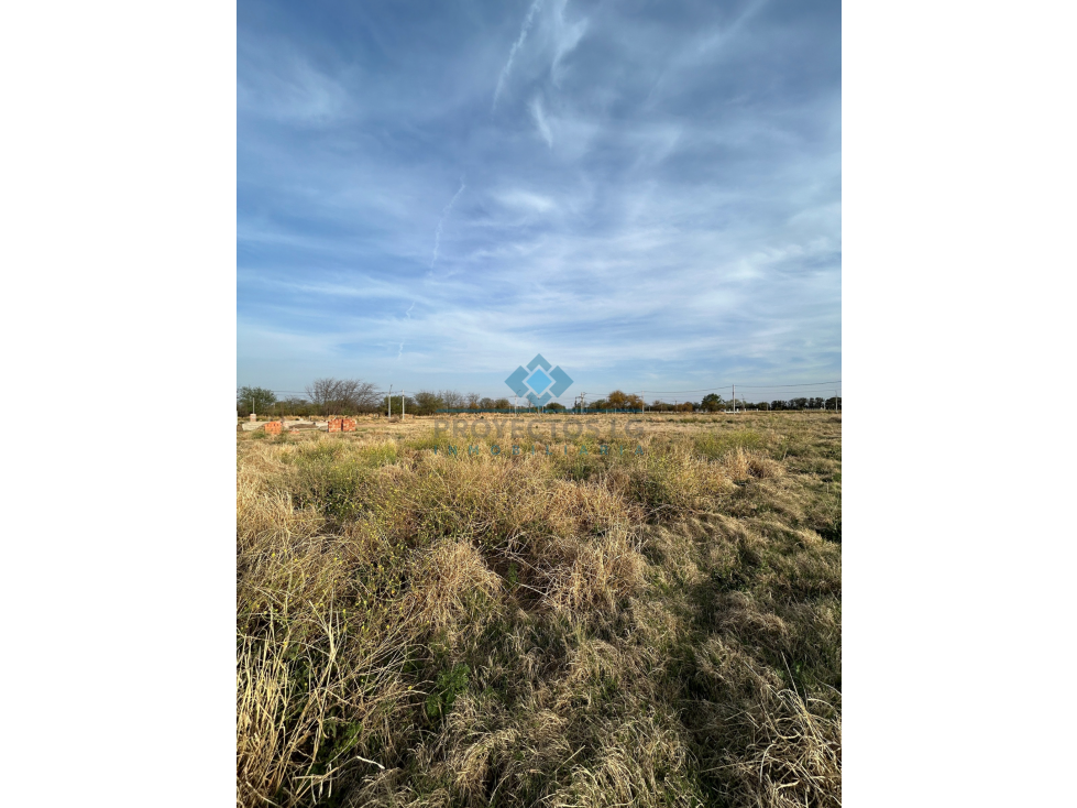 VENTA-LOTE EN LOS ALGARROBOS-SINSACATE - 6