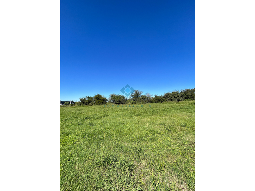VENTA- LOTES EN SINSACATE - 1.000 m² - 6