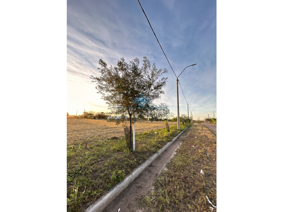 VENTA-LOTE EN LOS CEIBOS-JESÚS MARÍA - 3