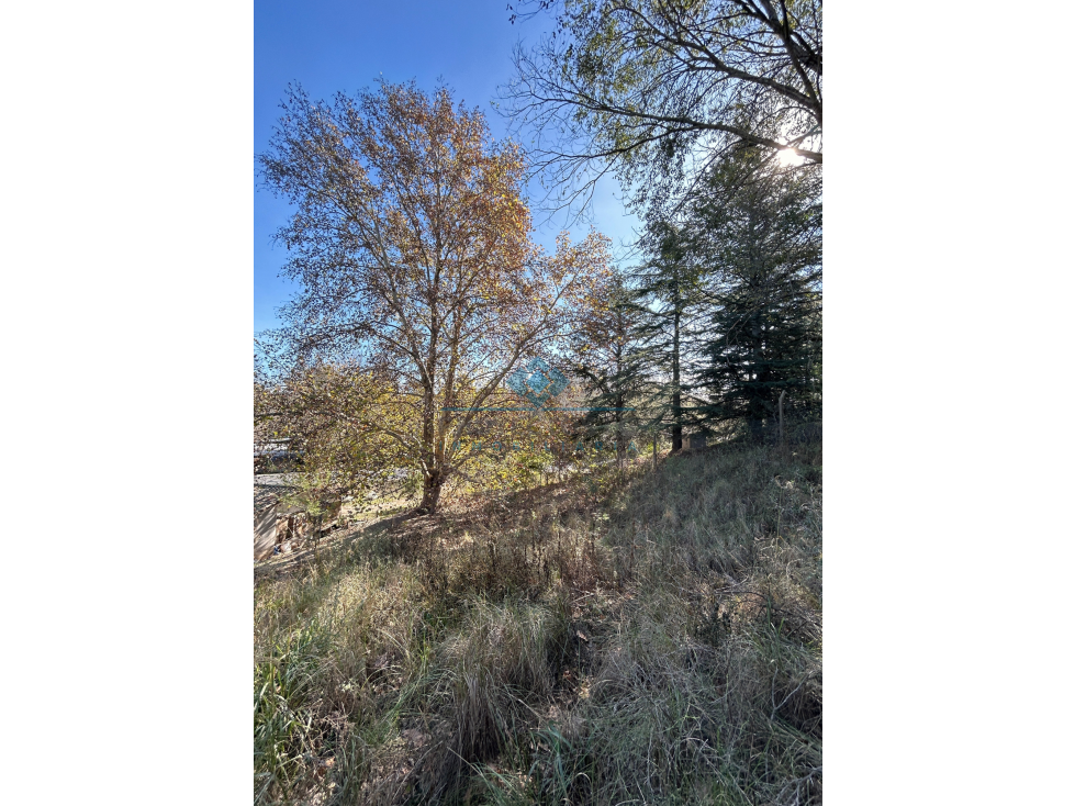 VENTA-LOTE SOBRE RUTA-LAS VERTIENTES DE LA GRANJA - 6