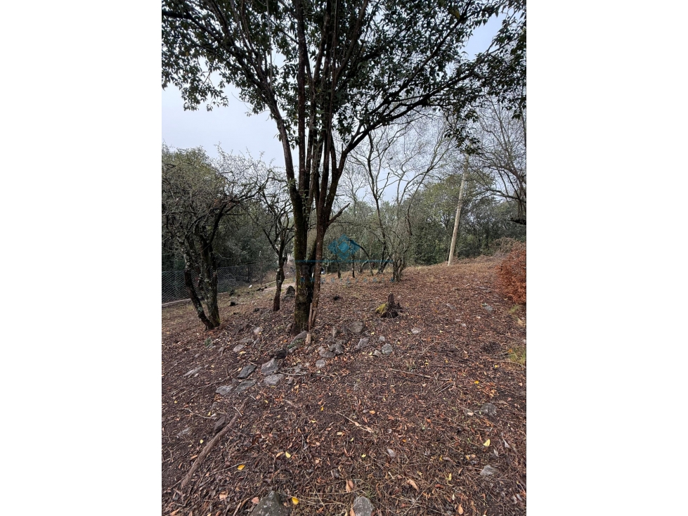LOTE 560 M2 - VILLA ANIMI - LA GRANJA - 6