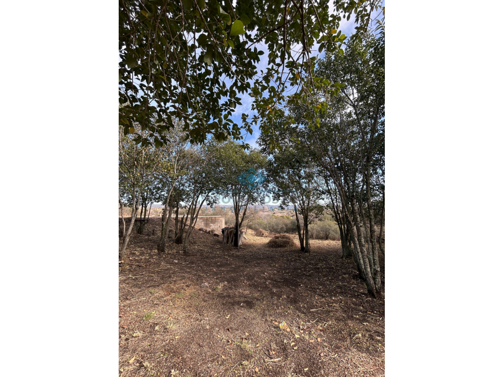 VENTA-LOTE EN LAS VERTIENTES-LA GRANJA-EXCELENTE VISTA - 4