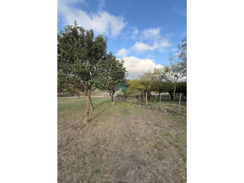 VENTA 1120 m² VILLA ANIMI, LA GRANJA - 5